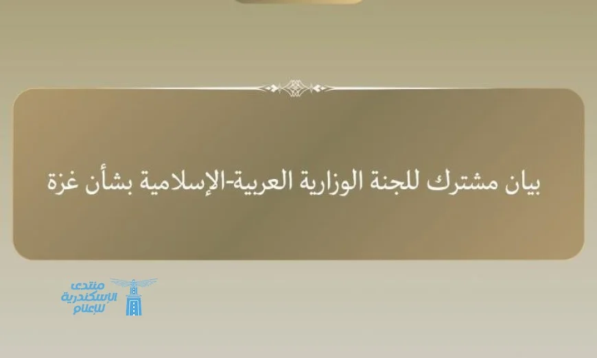 اللجنة العربية الإسلامية تدعو مجددًا لوقف فوري لإطلاق النار في غزة