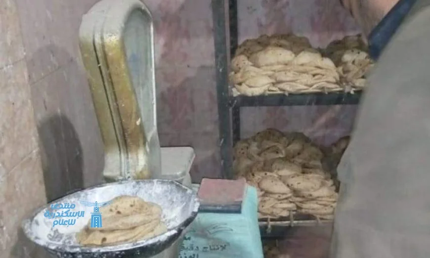 حملات مكثفة لتموين الإسكندرية لضبط الأسواق والمخابز وتحقيق الأمان الغذائي