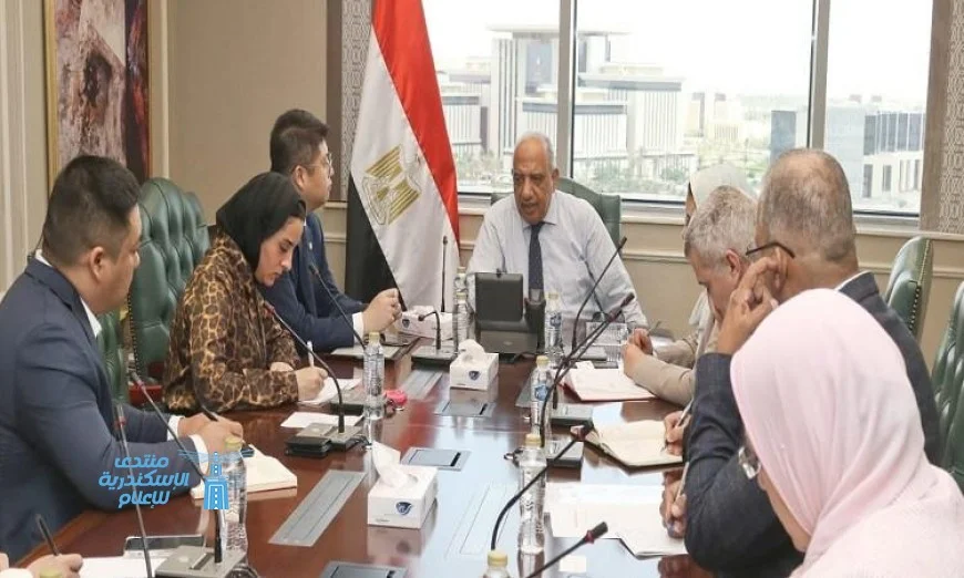 وزير الكهرباء يناقش تعزيز التعاون مع صن ريف سولار الصينية في تصنيع الخلايا الشمسية