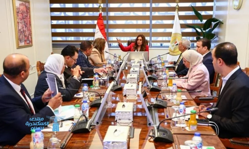 وزيرة التنمية تستكشف فرص تعزيز الخدمات المالية غير المصرفية في المحافظات