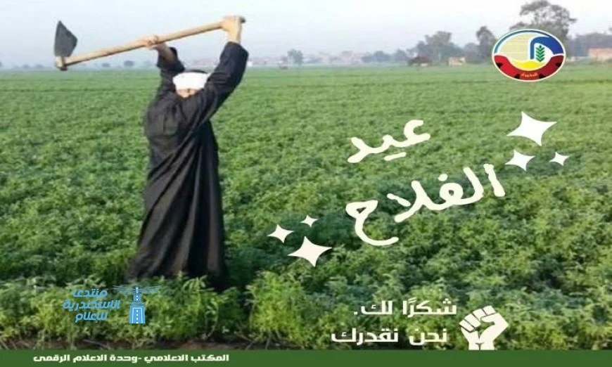 محافظ البحيرة تشيد بدور المزارعين في تحقيق الأمن الغذائي وتقدم التهنئة بمناسبة عيد الفلاح