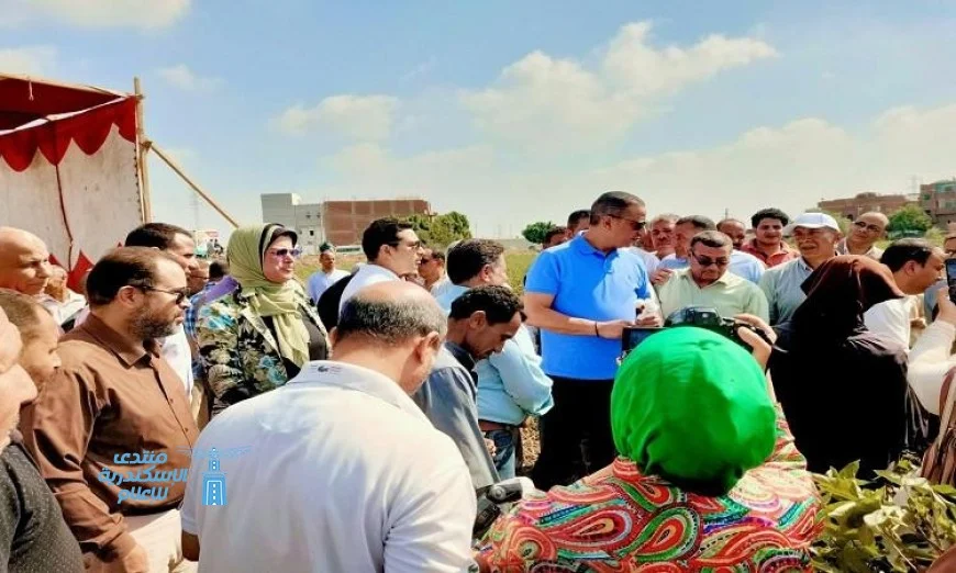محافظ الفيوم يتابع عن كثب جني القطن في مركز إطسا لتعزيز الإنتاجية الزراعية