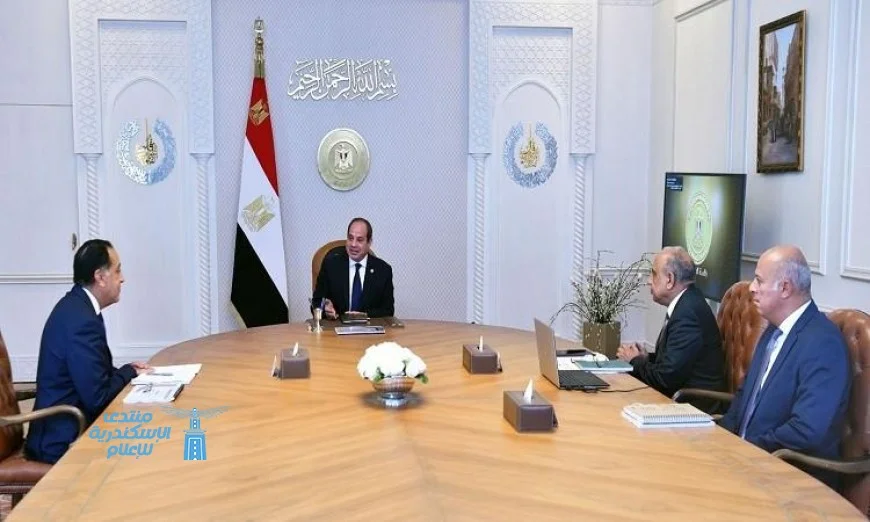 الرئيس السيسي يدعو لتعزيز قدرات مصر في الطاقات المتجددة