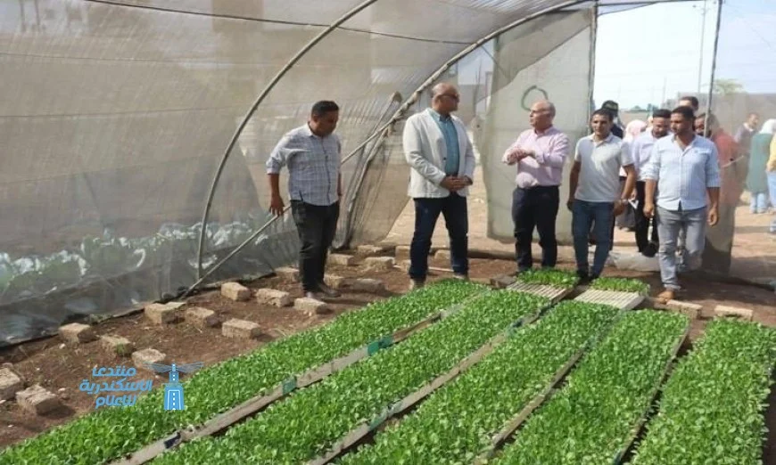 محافظ القليوبية يزور المنشآت الزراعية ويعلن عن لقاء أسبوعي مع المزارعين لتعزيز التعاون