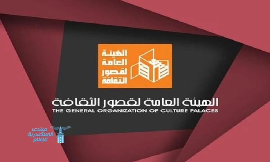 فعاليات نقل الخبرة بالقصور الثقافية: التركيز على الثقافة الرقمية وصناعة المحتوى