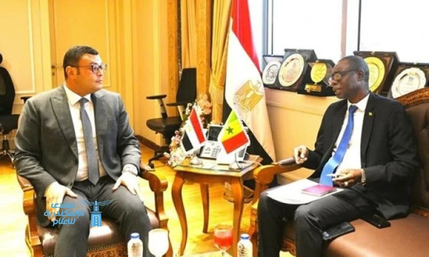 وزير الإسكان يلتقي سفير السنغال بالقاهرة لتعزيز التعاون في مجال الإسكان