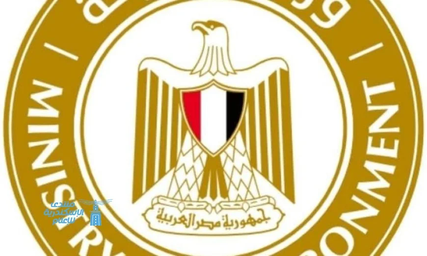 عاجل: تحرك فوري من عوض بعد العثور على تمساح بمياه البحر في الإسكندرية