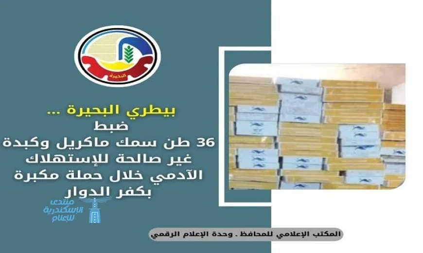 ضبط كميات ضخمة من السمك والكبدة الفاسدة في البحيرة بواسطة البيطريين