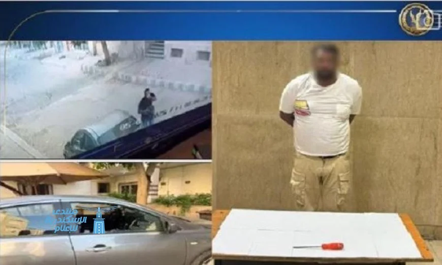تفاصيل جديدة حول فيديو سرقة حقيبة من سيارة في القاهرة