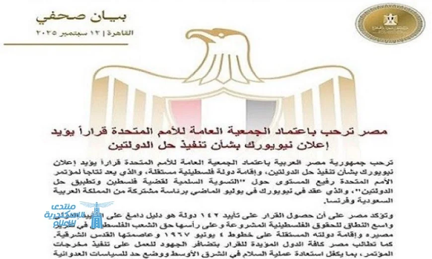 مصر تحتفي بقرار الجمعية العامة للأمم المتحدة لدعم حل الدولتين بشكل فعال