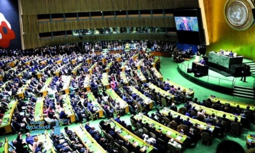 فلسطين تحتفي بدعم الجمعية العامة لقرار إعلان نيويورك لتعزيز حل الدولتين