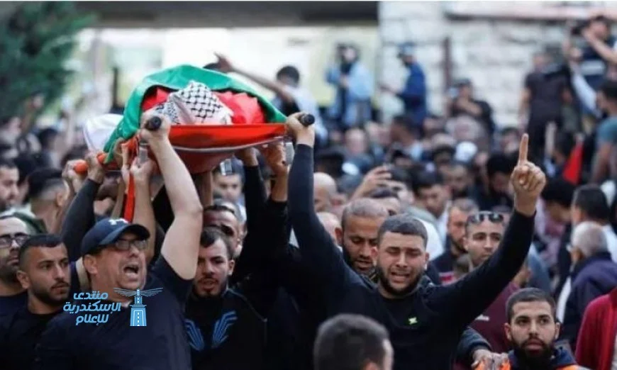إطلاق نار إسرائيلي يودي بحياة 12 فلسطينيا في غزة