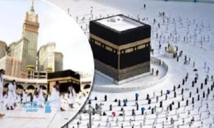غرفة السياحة تكشف عن الكيانات غير الشرعية وتقدم بلاغات للنيابة لحماية القطاع السياحي