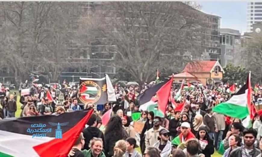 الآلاف يحتشدون في أكبر مدن نيوزيلندا لدعم القضية الفلسطينية