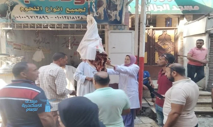 ضبط لحوم فاسدة في حملات تفتيشية مكثفة بمحافظة المنيا