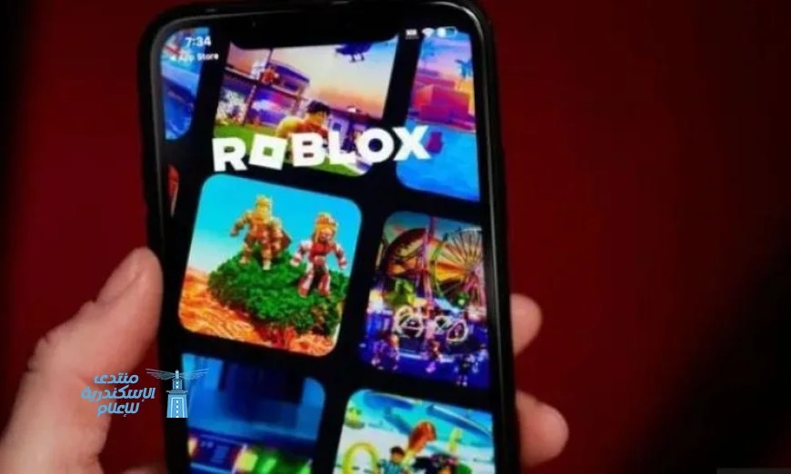 والدة شاب ترفع دعوى على منصة روبلوكس بسبب وفاة ابنها وتتهمها بالقتل الخطأ