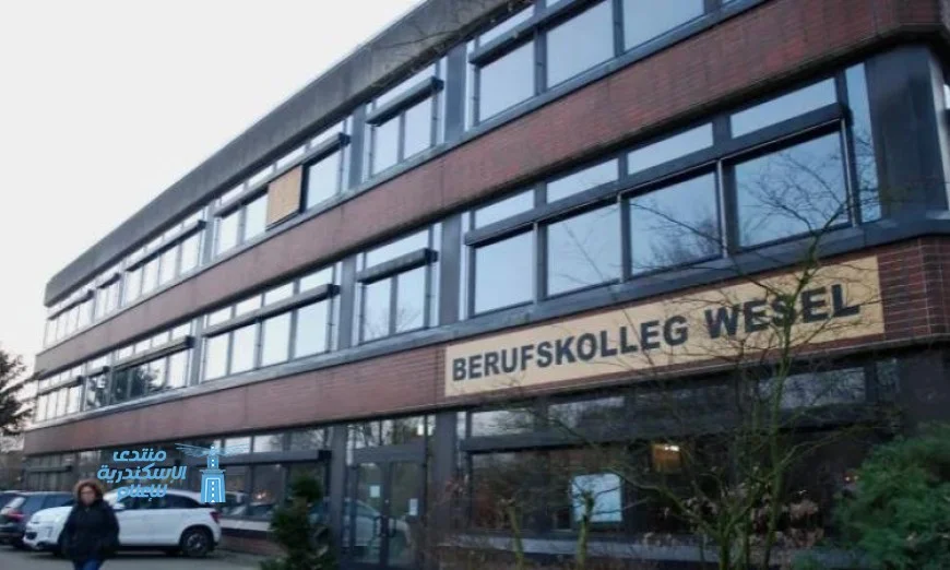 معلمة ألمانية تحصل على راتبها طوال 16 عامًا رغم غيابها بسبب الإجازة المرضية