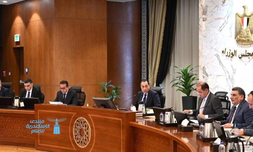 مدبولي يوجه بمتابعة توافر التمويل لهيئة الشراء الموحد