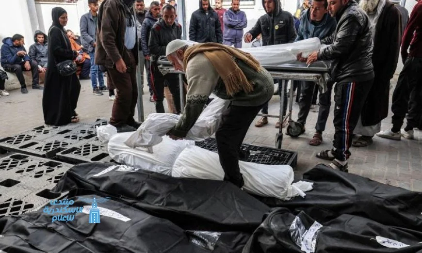 17 شهيدًا فلسطينيًا في قصف الاحتلال على مناطق متعددة في قطاع غزة