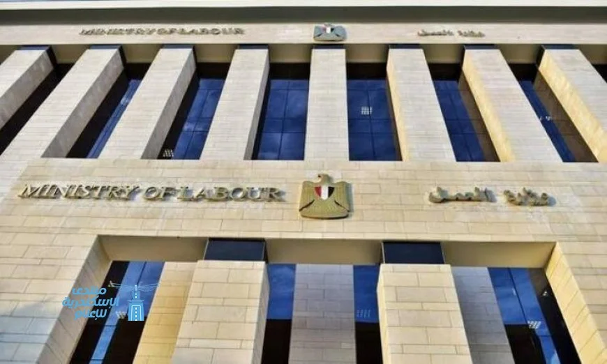 اكتشف فرص عمل جديدة في صناعة الكرتون والشيبسي في الأردن مع وزارة العمل