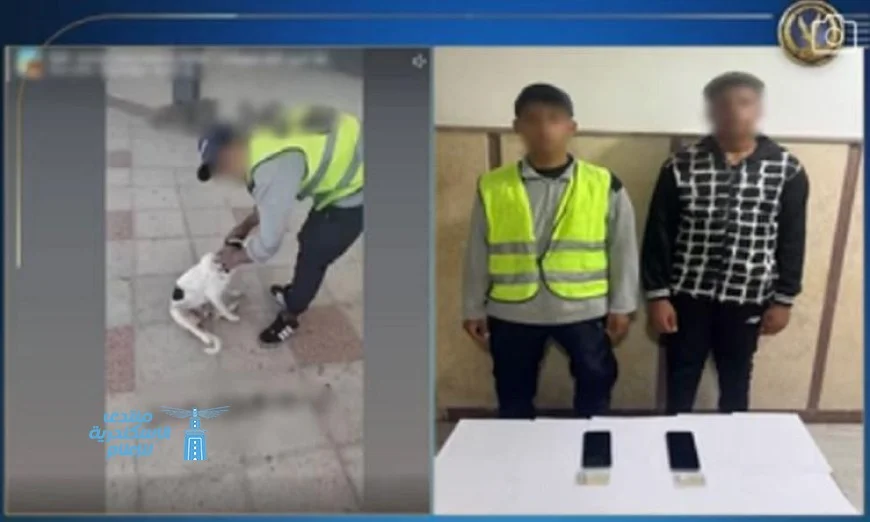 القبض على شخص بتهمة التعدي على كلب للترفيه والمرح في مطروح