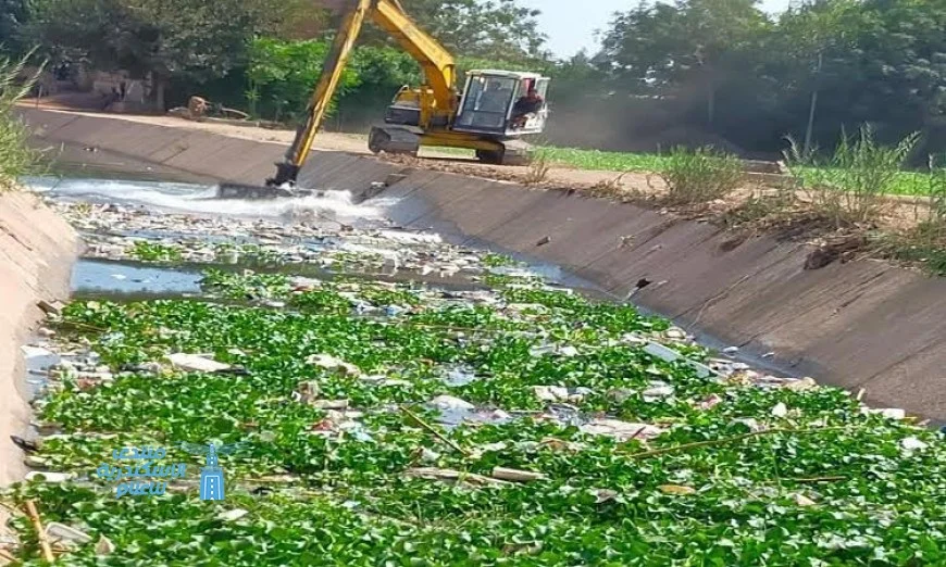 محافظ المنوفية يعلن عن ترخيص 801 مشروع زراعي متنوع لدفع عجلة التنمية الزراعية
