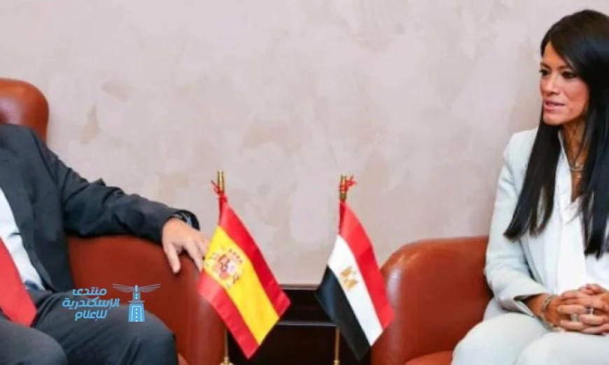 المشاط: الشركات الإسبانية تنفذ 95% من محطات طاقة الرياح في مصر