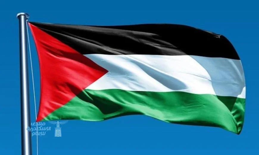 الفنانون الفلسطينيون يتحدّون الحرب في بينالي غزة من خلال عروضهم الفنية المبدعة
