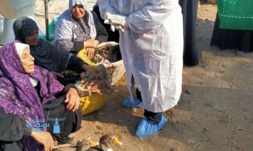 الزراعة تطلق برنامج التقصي النشط لتعزيز الأمن الغذائي في المزارع والأسواق