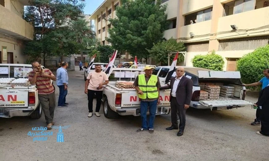 وزارة الزراعة تطلق 6 منافذ متنقلة لبيع بيض المائدة بأسعار مخفضة في القاهرة والجيزة