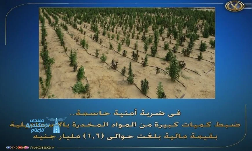 ضبط مخدرات بقيمة 1.6 مليار جنيه في الإسماعيلية في عملية أمنية حاسمة