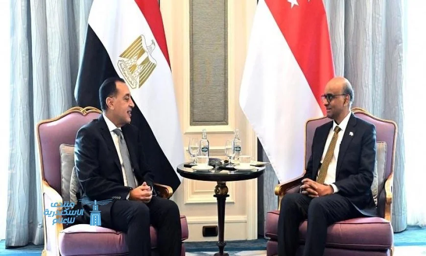 رئيس الوزراء يطمح لرفع حجم التبادل التجاري بين مصر وسنغافورة