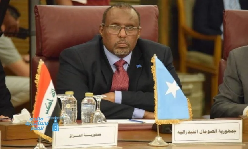 سفير الصومال في القاهرة يثني على دعم مصر المتواصل لبلاده