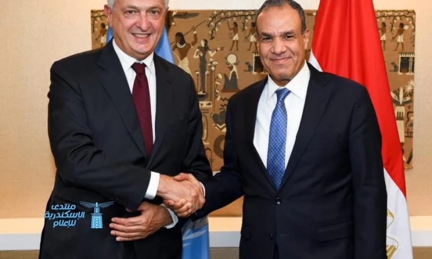 وزير الخارجية يدعو لتكثيف الضغط على إسرائيل لوقف إطلاق النار في غزة