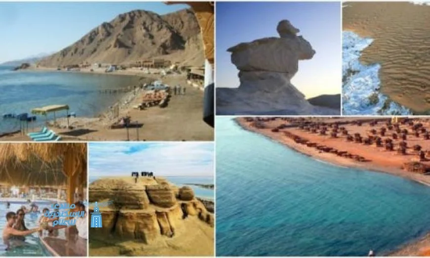 أفضل الكليبات الغنائية العربية التي تعزز من جذب السياحة إلى مصر