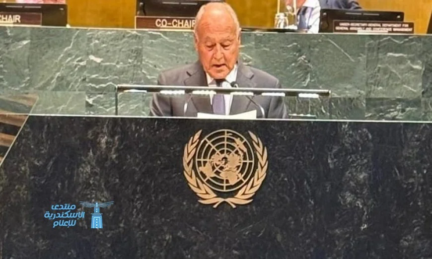 أبو الغيط يحث الدول المعترفة بفلسطين على تحمل مسئولية حماية الشعب الفلسطيني
