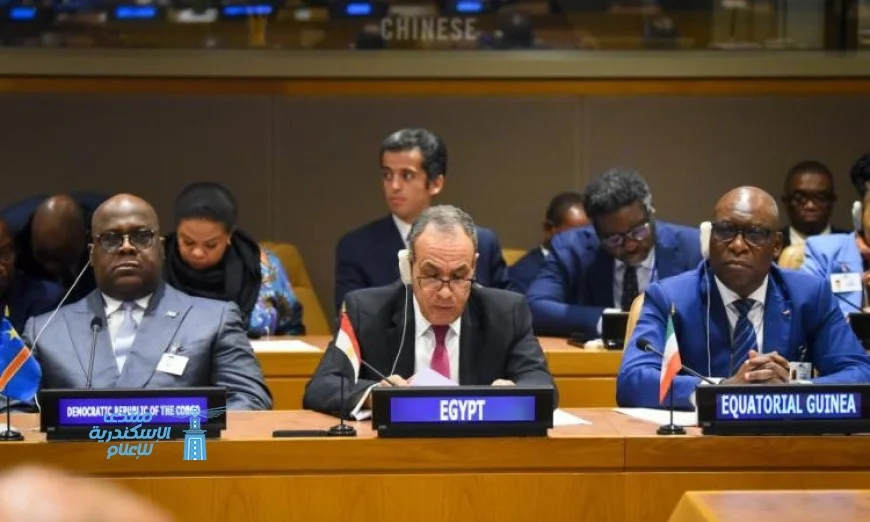 مشاركة وزير الخارجية في جلسة مجلس السلم والأمن الأفريقي تعزز التعاون المشترك
