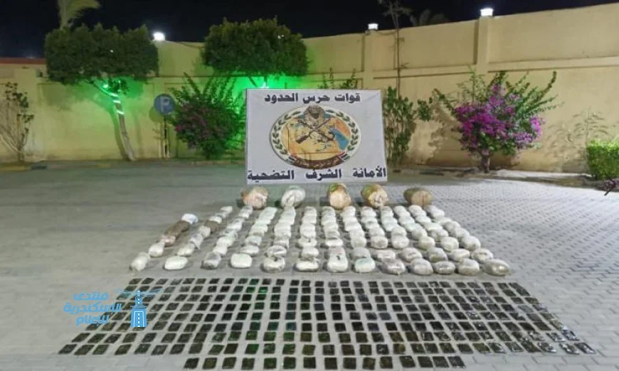 القوات المسلحة تعزز جهودها على جميع الاتجاهات الاستراتيجية للدولة