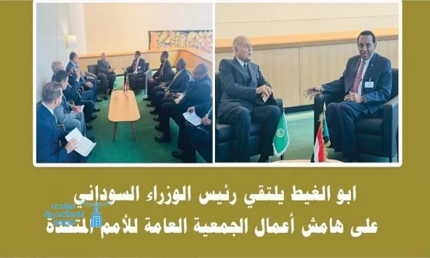 أبو الغيط يؤكد التزام الجامعة العربية بسيادة ووحدة السودان الثابتة