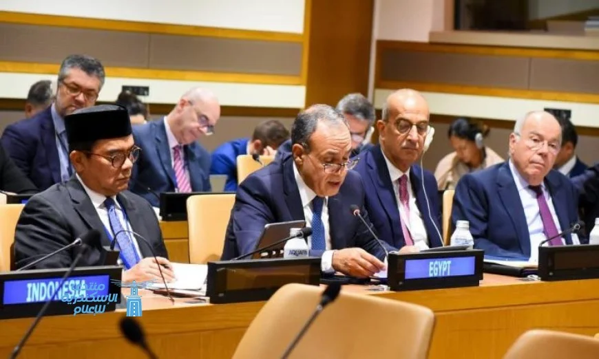 وزير الخارجية ينضم إلى اجتماع دول البريكس لمناقشة القضايا العالمية