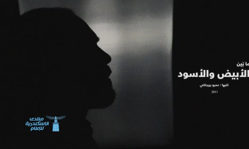 افتتاح معرض ما بين الأبيض والأسود في أتيليه جدة بمشاركة 11 فنانا مصريا غدا