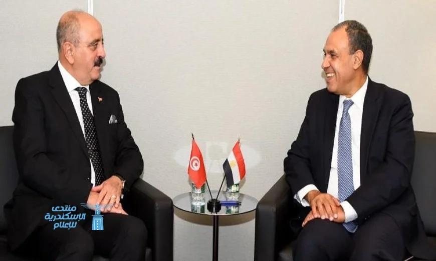 وزير الخارجية يشدد على التنسيق مع تونس لمواجهة تحديات القضية الفلسطينية