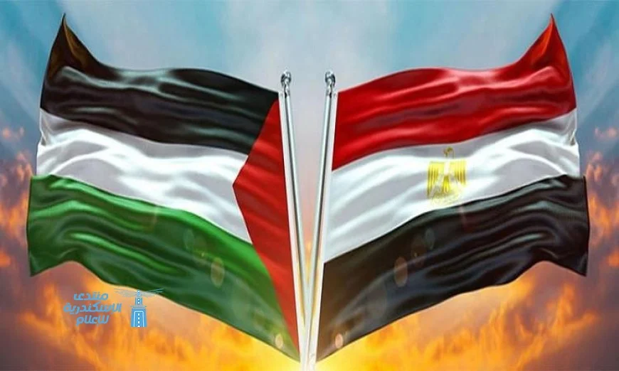 الهيئة الدولية لدعم فلسطين تؤكد: مصر تظل الرائد في حماية القضية الفلسطينية
