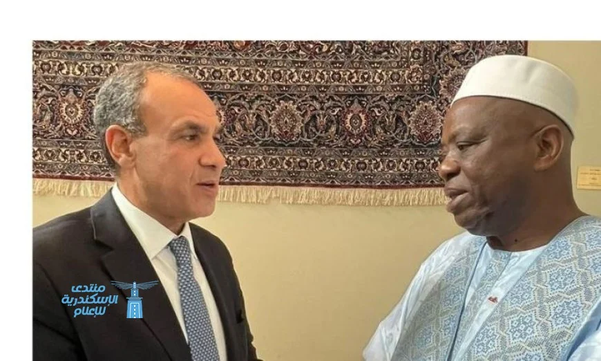 وزير الخارجية يعلن التزام مصر بتعزيز روابطها التاريخية مع غينيا