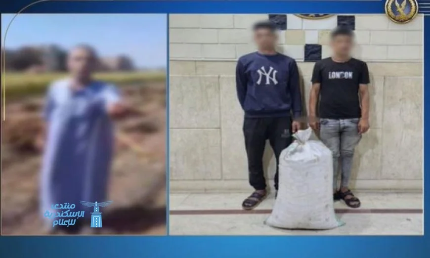 تفاصيل كشف الداخلية عن لغز سرقة المحاصيل الزراعية في الشرقية