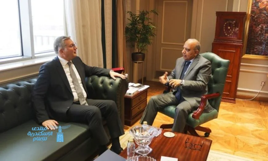 وزيرا الكهرباء والبترول يبحثان تعزيز مشروعات الطاقات المتجددة