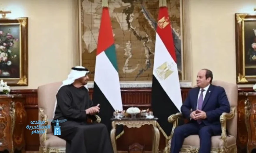 الرئيس الإماراتي يثني على التحولات الكبيرة في مناخ الاستثمار بمصر