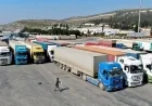 الأغذية العالمي يؤكد أهمية فتح جميع معابر غزة اليوم لتسليم المساعدات الإنسانية