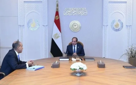 الرئيس السيسي يستعرض أبرز نجاحات مصر في الجمعية العامة للأمم المتحدة