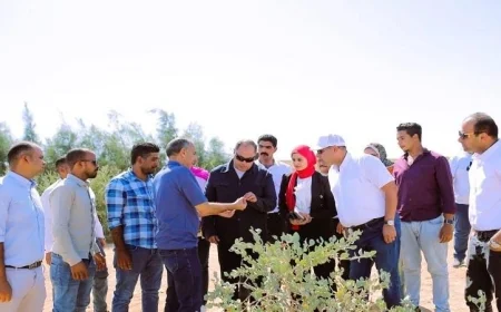 رئيس هيئة تنمية الصعيد يستعرض تقدم مشروع زراعة الجوجوبا في الغردقة